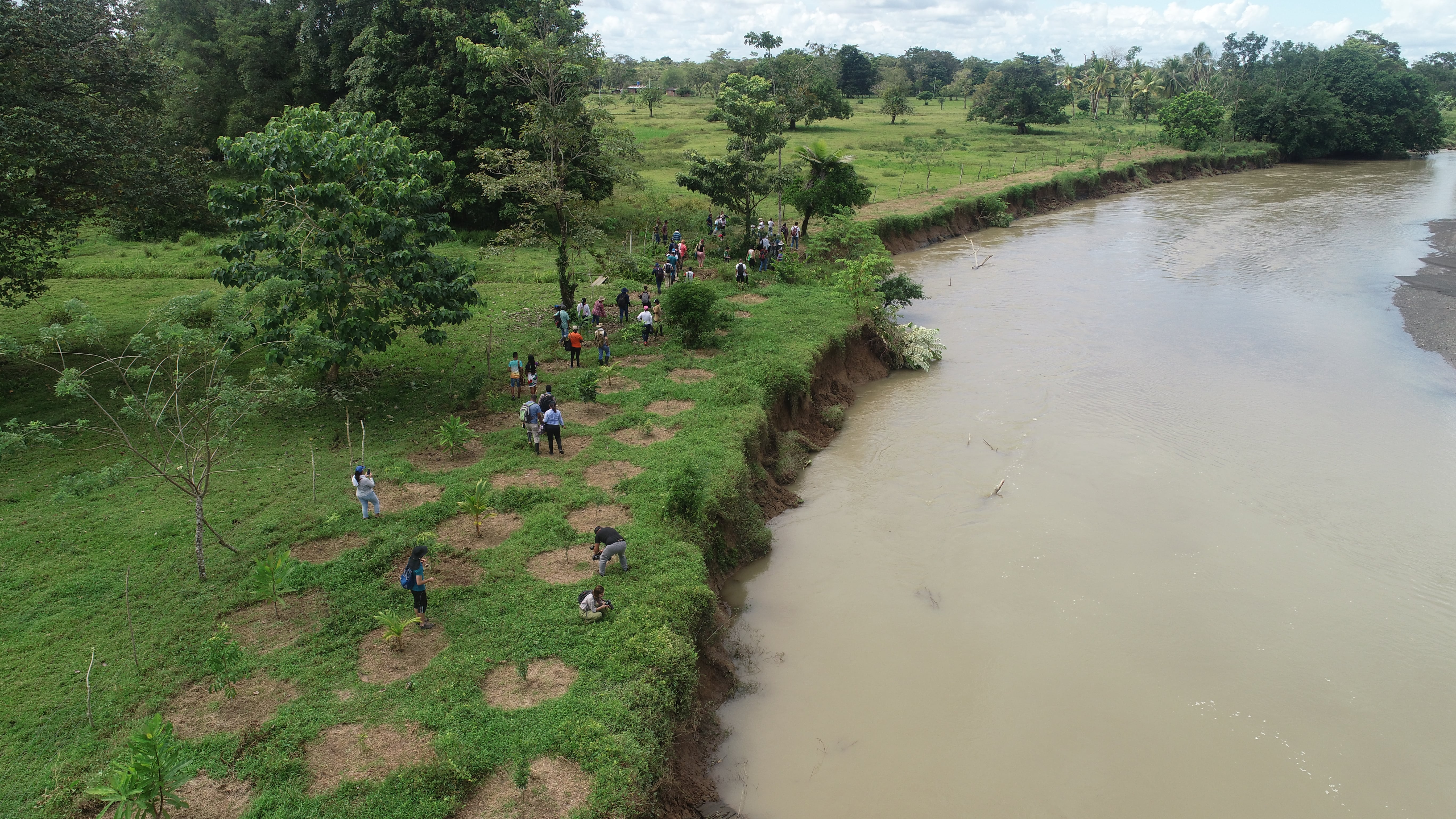 Restauración ecológica comunitaria para la conectividad socioecosistémica en el río León y sus afluentes